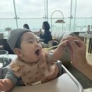 (주)우리데크(박종관)(1종) | 아기랑 외식 고민 끝, 호텔 나루 뷰런치 맛집 후기