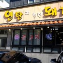 연탄과친한돼지 이미지