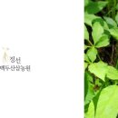 백두건강원 - 성남시 수정구 수정로 253 | 백두건강원