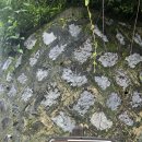 전남담양 병풍산(822m) 이미지