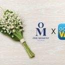원모먼트
