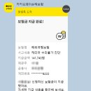 1552 | [일본/삿포로여행] 제주항공 부산-삿포로 7C1552 캐리어 파손 카카오보험 보상 후기(신청방법, 보상금액)