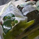 샘말 농장 이미지