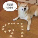 송악읍사무소 앞 | [충남/당진] 다시 또 가고 싶은 여행지 당진 1박2일 여행
