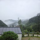 (주)지캠프 | 홍천캠핑장 알지캠프266 후기 늦여름, 자연 속