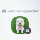 광주 애견유치원 애견호텔 플레이멍 이미지