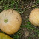 과림 낚시터 이미지