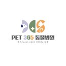 펫365동물병원 | 성동구 금호동 동물병원 펫365동물병원 위치 오는길 후기