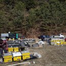 봉우농장 이미지