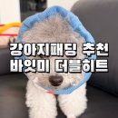 히트 | 강아지패딩 추천 - 하네스 일체형 바잇미 더블히트 패딩 실사용 후기