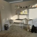 퍼피앤캣 | 동탄 말티즈 미용 노견 미용 잘하는 퍼피앤캣 내돈내산