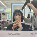 동탄반석로 | [동탄 반송동]헤어잘하는 "헤어다이아 동탄점" 하나수석디자이너 테슬컷+매트브라운 후기