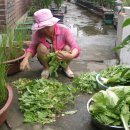 이화약국 이미지