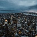 시그니엘 이미지