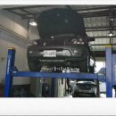 에코카클리닉 이미지