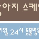 아라i동물병원 이미지