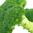 (주)동백관광 이미지