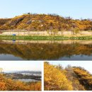 【꽃구경 산책번개】서울숲 + 응봉산 개나리(4월 14일 일요일) 이미지