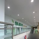 성주약국 | [대구] 하나로마트 달성점 | 설화명곡 마트 | 대곡 화원 옥포 현풍 구지 가볼만한곳 | 쇼핑 분위기 가격...