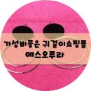 에스오팜 | [저렴한귀걸이쇼핑몰] 에스오루라, 가성비 굿!