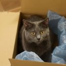 뜬금포