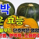 단호박 효능 칼로리 안좋은점 호박먹으면 좋은점 이미지