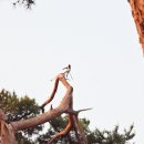 낙동강변23 이미지