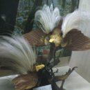 연세대학교박물관 이미지