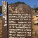 부산에서 3일 - 丙申年 元旦 이미지