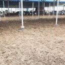 묵방목장 이미지