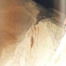 구성양계장 이미지