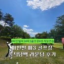 파인빌 | 파인빌 파3 골프장 솔직담백 라운딩 후기