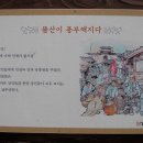 팔달문인삼 티스토리