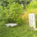 용마 농장 이미지