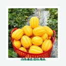 성주농산 - 북구 칠곡중앙대로 412 | 성주농산