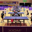 초등탁구 2 이미지