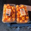 정규농장 이미지