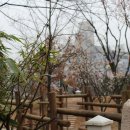 마재근린공원 이미지