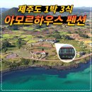 아모르 하우스 네이버블로그