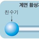 더케이엠 - 전주시 완산구 후곡길 12 | 더케이엠