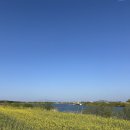 영산강둔치체육공원 이미지