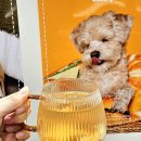 파주출판도시(자유로)주유소 | 파주출판단지카페 페이지온커피 주차, 메뉴, 케이크(애견동반카페 추천)