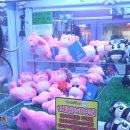 엑스탑 오락실 이미지