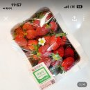 황무로 2 이미지