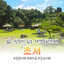 논산애견 | 정원이 예쁜 논산 탑정호 카페맛집, 애견동반 가능한 초서 후기