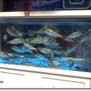 합성동299 이미지