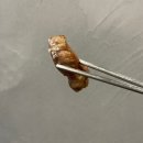 식껍용현점 | [용현동/맛집] 가성비 좋은 특수부위 맛집 '식껍 토지금고 용현점' 후기