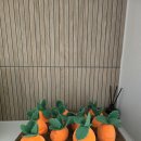 을해농장 | 강아지 장난감, 노즈워크 당근장난감 분리불안 해소 효과 UP 내 돈 내산