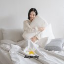 웰리더