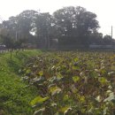 복흥면사무소 이미지